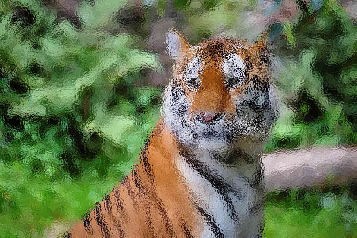 What Africa Can Learn from the Asian Tigers